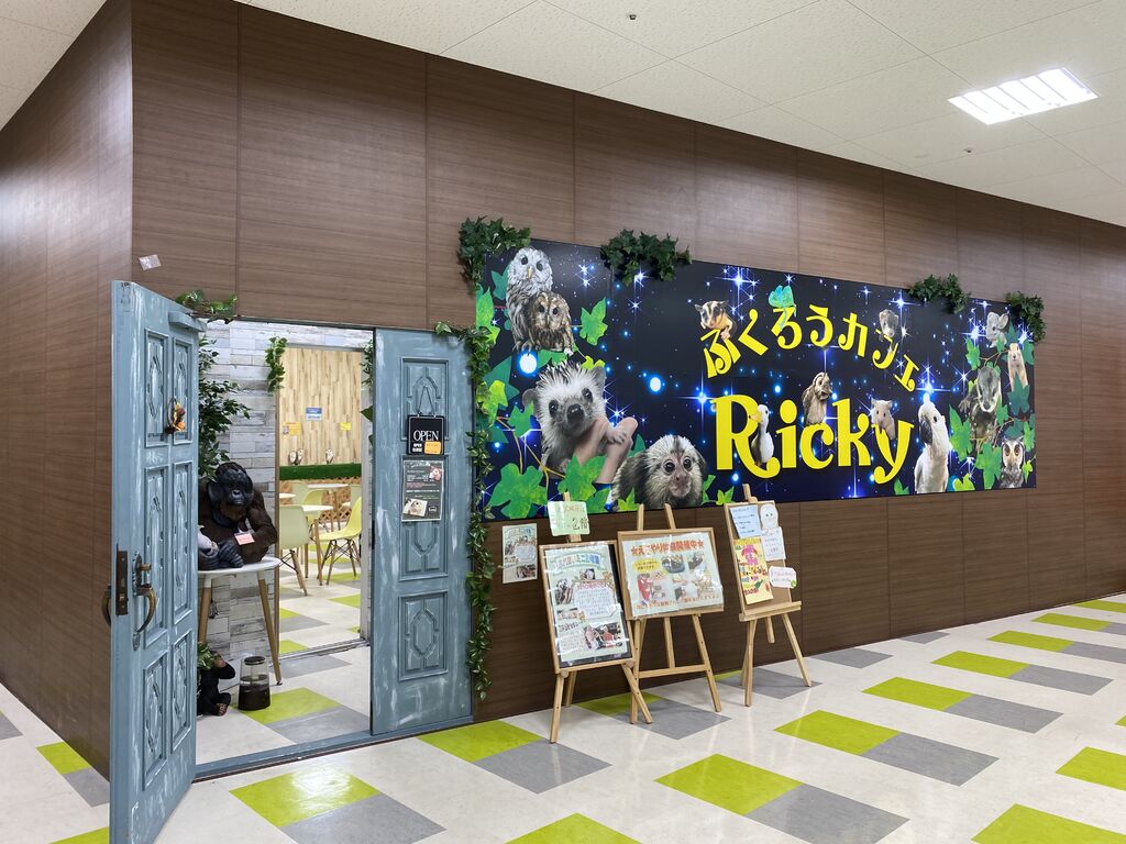 ふくろうカフェRicky 栃木店 大田原市の遊園地・動物園・カフェ・喫茶店｜栃ナビ！