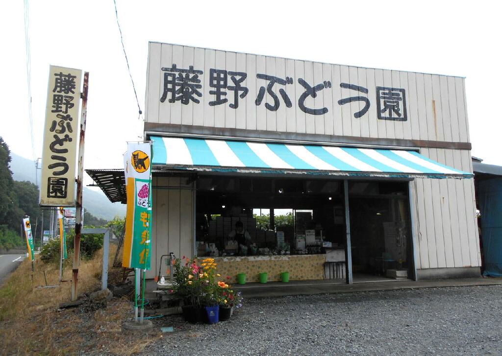 藤野ぶどう園 - 栃木市の野菜・直売所・果物・野菜狩り｜栃ナビ！