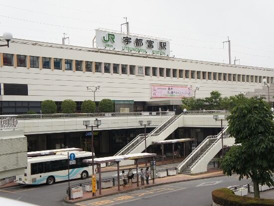 é¢é£ç»å