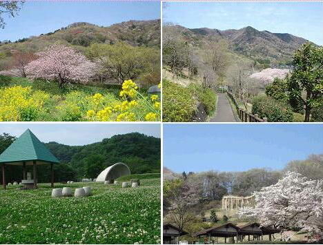 かかしの里 栃木市の公園 野球場 栃ナビ