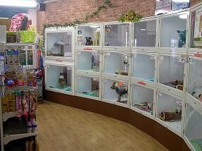 Pet Shop よっぴ 栃木市のペットショップ ペットホテル スクール 栃ナビ