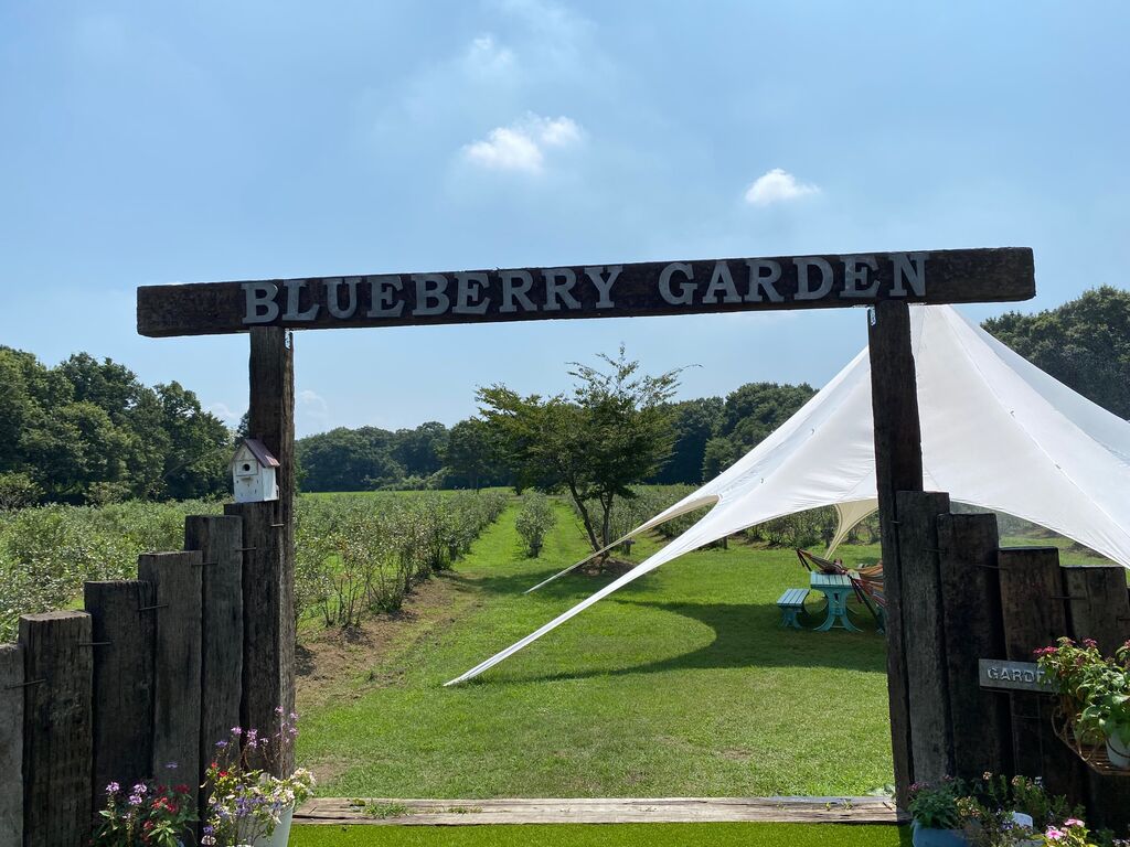58ブルーベリーガーデン那須 那須町の果物 野菜狩り カフェ 喫茶店 栃ナビ