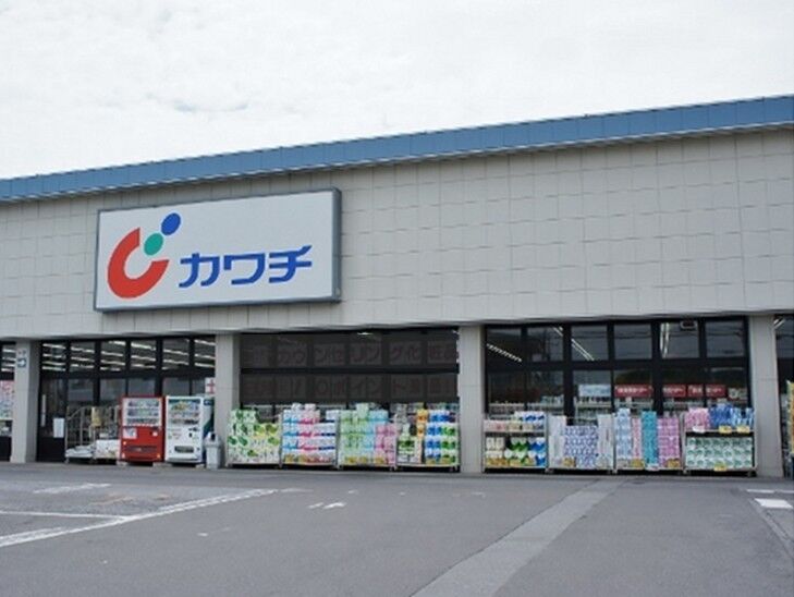 宇都宮 カワチ 【10%割引デーはいつ?】カワチ薬品で一番安く買う方法！ポイント10倍デー＋冷凍食品半額は何曜日？