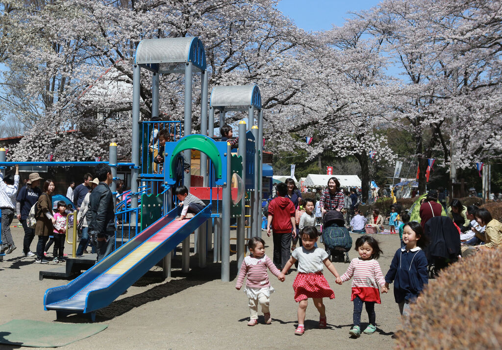 かしの森公園 芳賀町の公園 植物園 花 栃ナビ