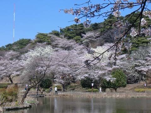 烏ヶ森公園 那須塩原市の公園 栃ナビ