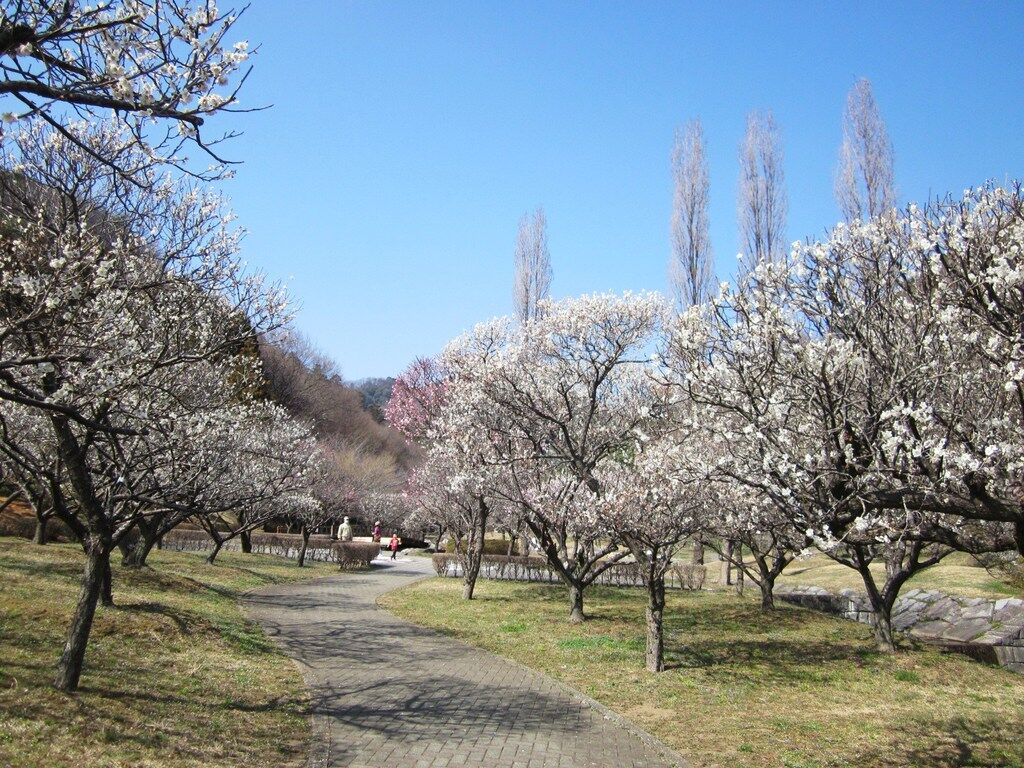 梅林 公園