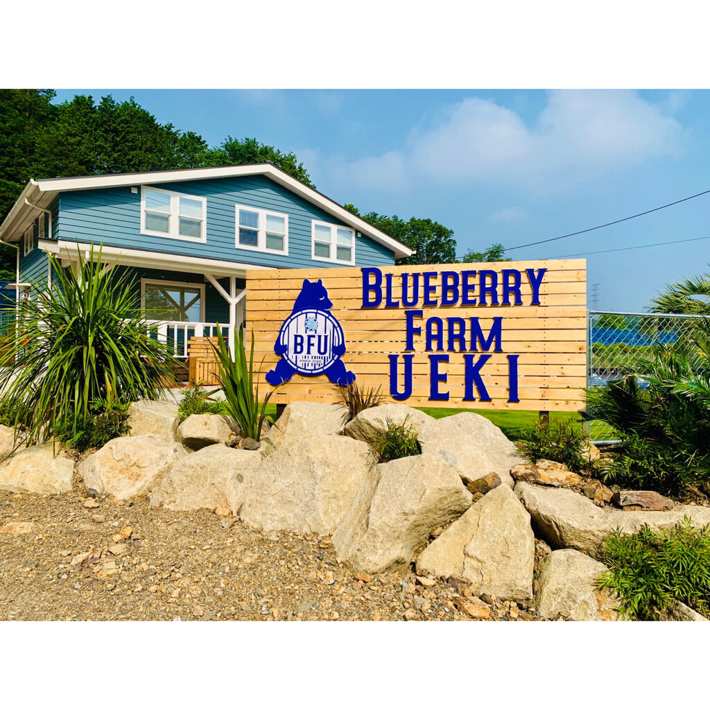 Blueberry Farm Ueki 矢板市の果物 野菜狩り カフェ 喫茶店 栃ナビ