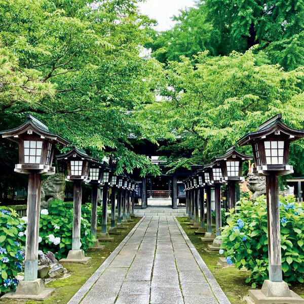 さくら・芳賀エリアの神社・仏閣めぐり｜初詣・開運に人気のスポット