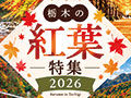紅葉特集2026！栃木の紅葉観光人気スポットをご紹介☆