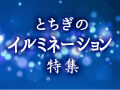 栃木のイルミネーションを見に行こう♪イルミ特集2025-2026