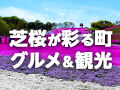 【市貝町】芝桜が彩る町で味わう絶品グルメ＆観光スポット20選