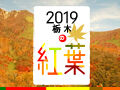 紅葉特集2019！栃木の紅葉狩り人気スポットをご紹介☆