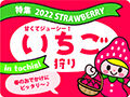 春のお出かけにおすすめ♪栃木のいちご狩り特集2022☆