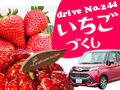 プレゼント付！春を満喫♪いちごづくしドライブ
