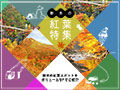 紅葉特集2025！栃木の紅葉観光人気スポットをご紹介☆