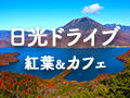 【日光ドライブ】紅葉と絶景を楽しむ 癒やしのカフェめぐり33選
