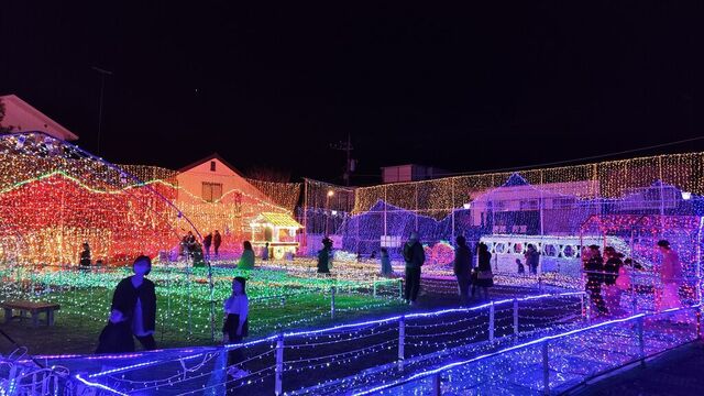 第10回 まちの駅 新・鹿沼宿イルミネーション2025