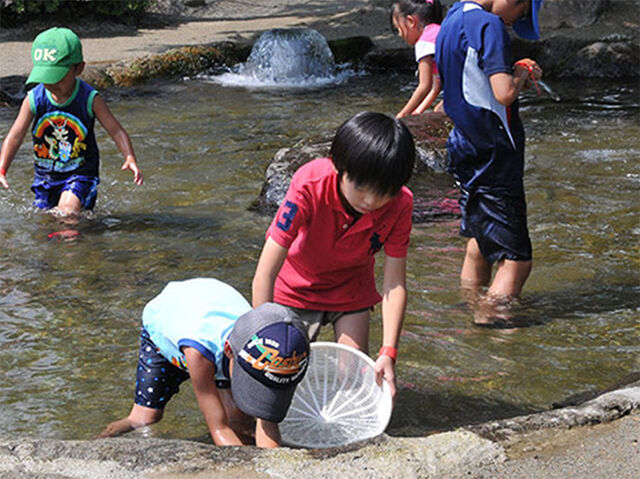 公園 川 栃木のプール 水遊びスポット22 栃ナビ