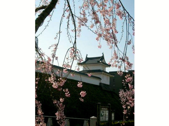 宇都宮エリア 栃木のお花見 桜の名所特集22 栃ナビ