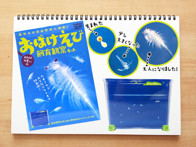 夏休みの宿題おたすけキット Fkdfan特集 栃ナビ