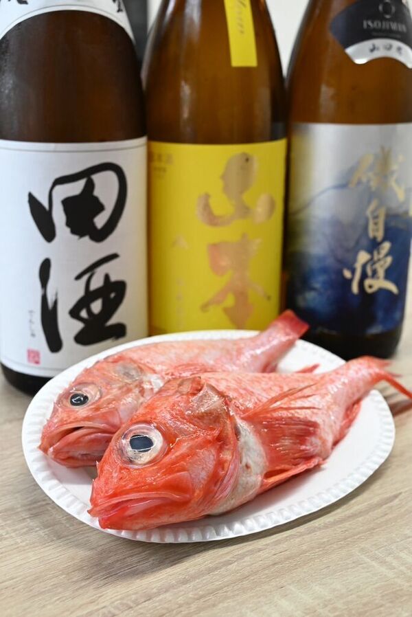魚浜