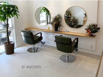 il micino