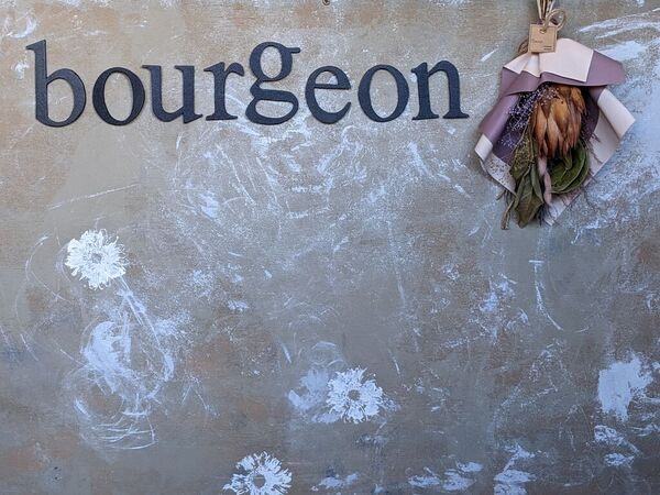bourgeon