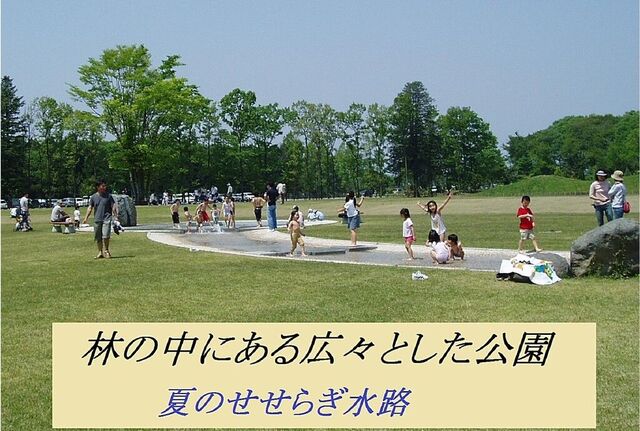 みずほの自然の森公園