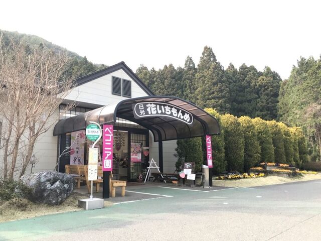 日光花いちもんめ