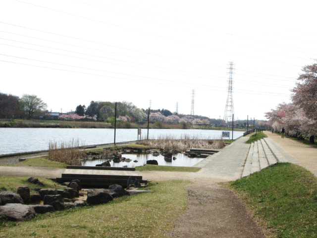 大沼親水公園（大沼ため池）