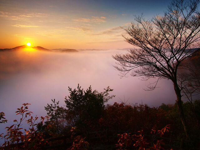 鎌倉山