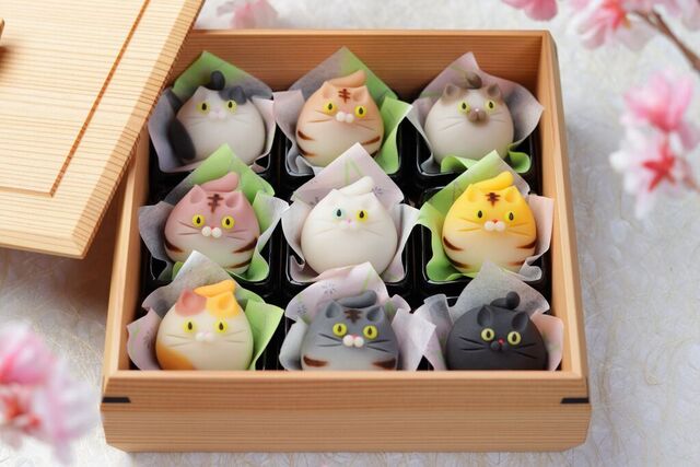 御菓子司 紅谷三宅