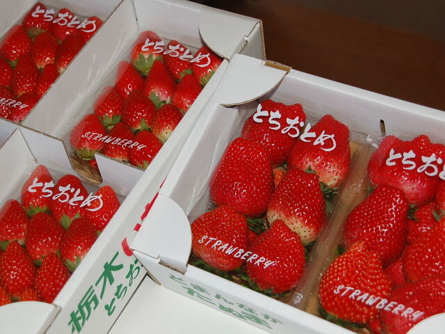 どまんなかたぬま観光農園 岩崎イチゴ農園