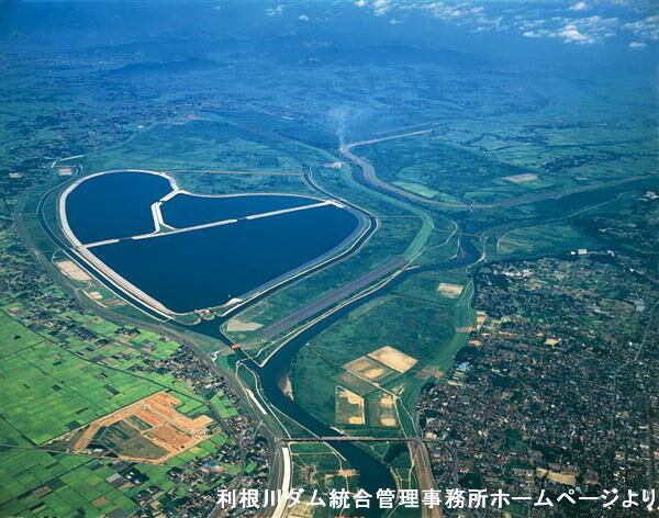 渡良瀬遊水地