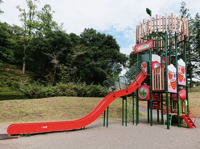 鹿沼運動公園（ヤオハン いちごパーク）