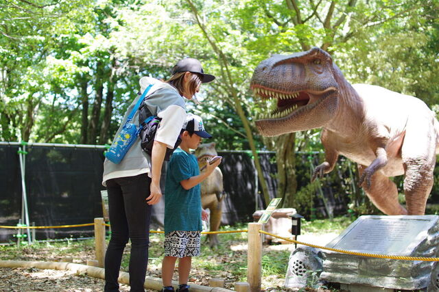 とちぎわんぱく公園