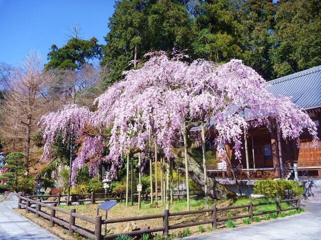 太山寺・野州豊川稲荷