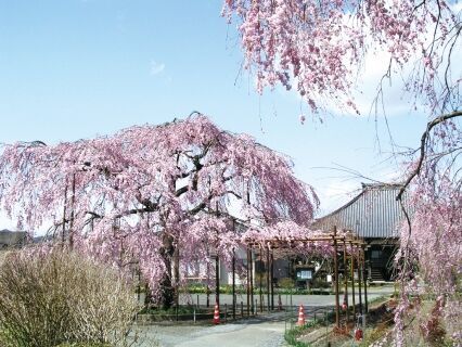 太醫山 薬師院 長福寺