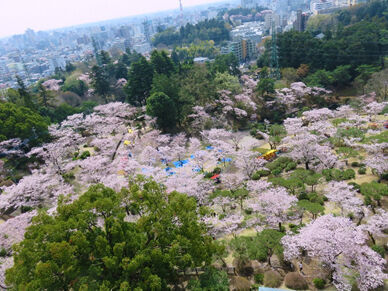 八幡山公園