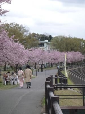 思川流域堤防