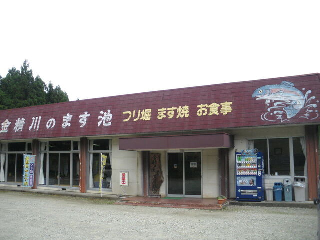 金精川のます池