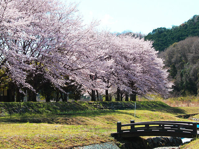 牧親水公園