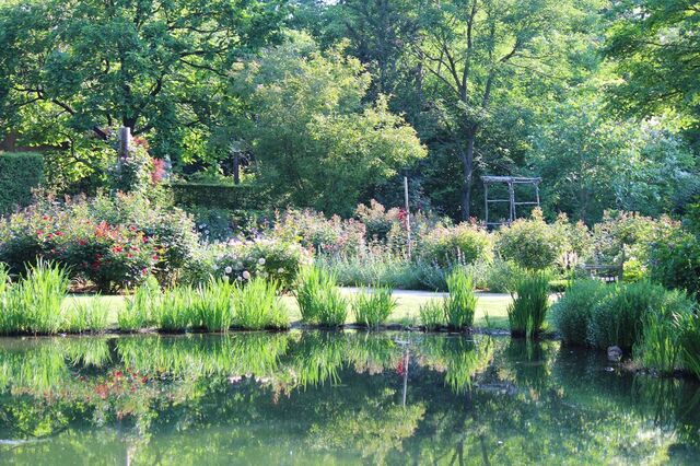 CoppiceGARDEN
