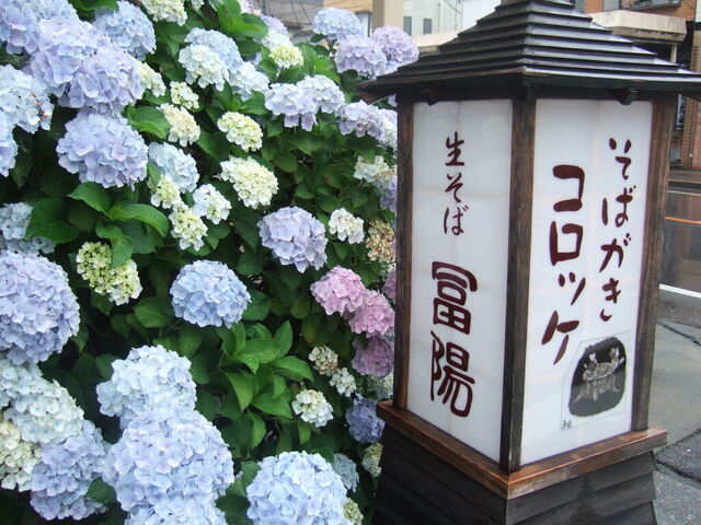 生そば 冨陽