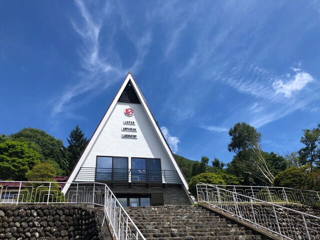 日本両棲類研究所