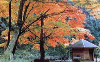 蓬莱山