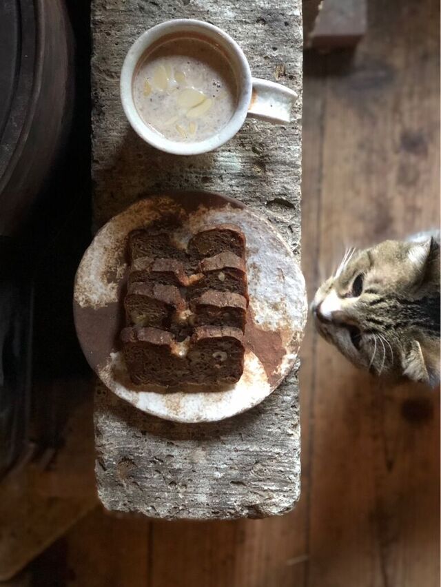 テレンコテレンコ