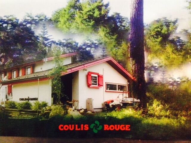 COULIS ROUGE
