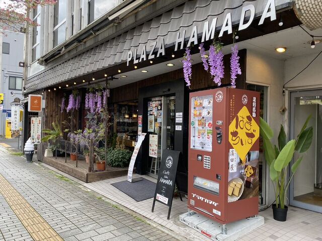 プラザハマダ
