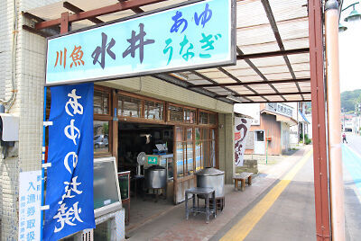 川魚水井